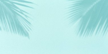 Hindistancevizi palmiye yaprağı gölgesi ve turkuaz arka planda dokuma duvarı manzarası. Yaz tropikal seyahat plajı konsepti. Düz renk palmiye doğası..