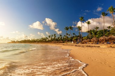 Punta Cana, Dominik Cumhuriyeti 'ndeki renkli günbatımına karşı beyaz kumlu sahilde hindistan cevizi palmiyeleri. Palmiye ağaçlarının karanlık siluetleri ve tropik adanın sahillerinde güzel bulutlu gökyüzü..