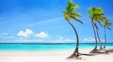 Dominik Cumhuriyeti, Punta Cana 'da, hindistan cevizi palmiyeleri ve turkuaz mavi suyu olan tropikal beyaz kumsal manzarası. Yaz tatili geçmişi. Palmiyeli güneşli tropik cennet plajı.