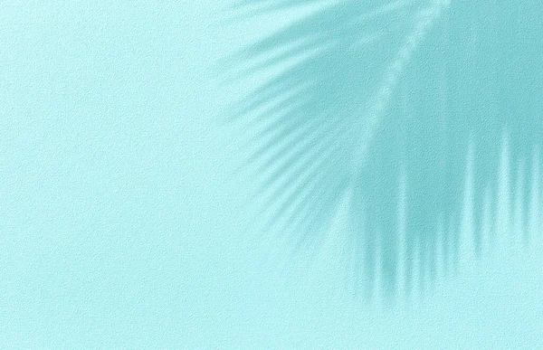 Panorama Parede Textura Com Sombra Folha Coco Fundo Turquesa Verão — Fotografia de Stock