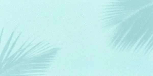 Бирюзовом Фоне Фактурная Стена Тенью Листьев Кокосовой Пальмы Концепция Летнего — стоковое фото