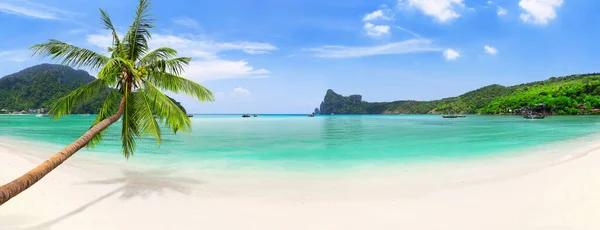 泰国高菲堂岛上的Loh Dalum海滩 长尾船 椰子树和蓝水的全景 泰国菲菲群岛的传统长尾船和美丽的海滩 图库图片