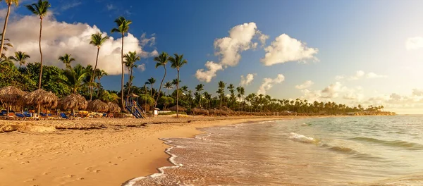 Kokospalmen Weißen Sandstrand Gegen Den Farbenfrohen Sonnenuntergang Punta Cana Dominikanische Stockfoto