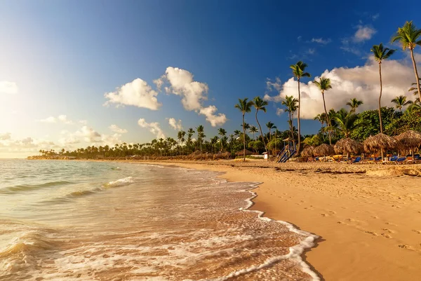 Kokospalmen Weißen Sandstrand Gegen Den Farbenfrohen Sonnenuntergang Punta Cana Dominikanische lizenzfreie Stockfotos