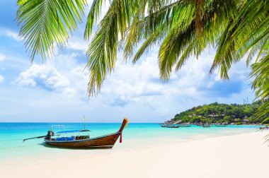 Hindistan cevizi palmiyeleri ve Tayland 'ın Surat Thani Eyaleti' ndeki Koh Tao adasındaki beyaz kumlu tropikal plajda uzun kuyruk teknesi. Yaz tatili kavramı. Tayland 'daki güzel tropikal plaj.