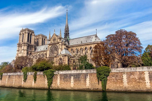 Katedra Notre Dame Paryżu Przed Niszczącym Pożarem Widzianym Zza Rzeki Obraz Stockowy