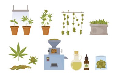 Esrar üretimi. Büyüyen tıbbi tesisler ve uyuşturucuların yasallaştırılması. Vektör esrar ve marihuana karikatür çizimleri