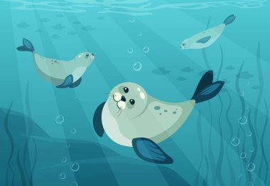 cute seals cartoon animal set. cartoon funny characters, seals lying in different poses on the seabank, north antarctica animals. vector seals characters