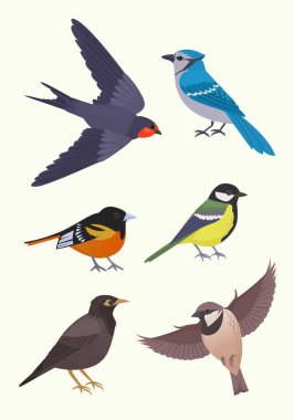 city birds in different poses set. birds flying and standing, bullfinch, tit, sparrow, pegeon, crow. cartoon vector birds set.