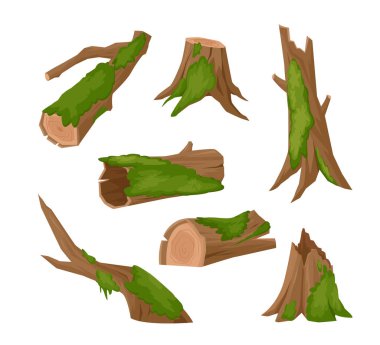 Yosun kümesindeki kütükler. Yeşil ıslak yosunlarla kaplı çizgi film kütükleri, orman taygası doğal nesneler. izole ögelerin vektör karikatür kümesi.