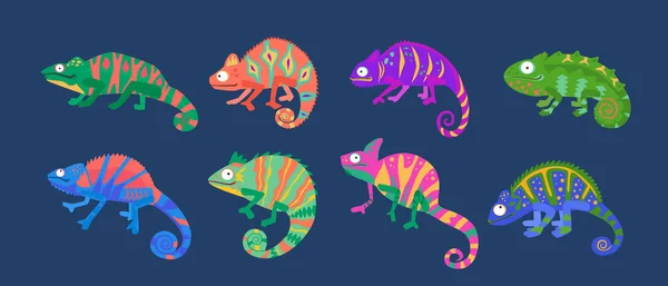 变色龙蜥蜴丛林蛇设置 不同颜色的沙漠动物 爬行动物 矢量卡通画 — 图库矢量图片