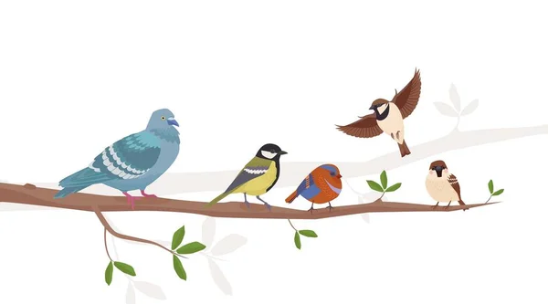 Birds Branch Bullfinch Tit Sparrow Pigeon Crow Birds Sitting Tree — Wektor stockowy