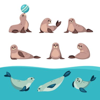 seals animal set. north antarctica animals, cute funny cartoon characters, seals lying in different poses on the seabank. vector ocean characters clipart