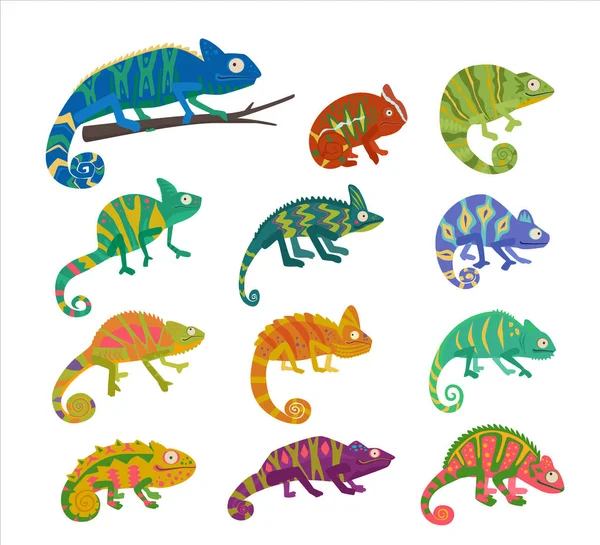 Набір Джунглів Хамелеонів Змії Тварини Різні Кольорові Пустельні Ящірки Рептилій — стоковий вектор