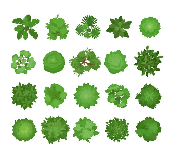 Bokrok Fák Csúcson Természet Zöldek Tájak Készlet Különböző Növények Levelek Vektor Grafikák