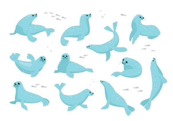 Tuleni Severní Antarktická Zvířata Roztomilé Kreslené Postavičky Tuleni Ležící Různých Royalty Free Stock Ilustrace