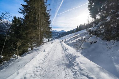 Güneşli bir günde güzel kar dağları manzarası
