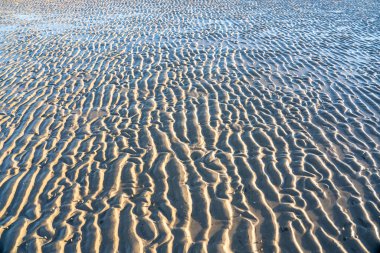 Ebb in the North Sea in Sank-Peter-Ording, Germany