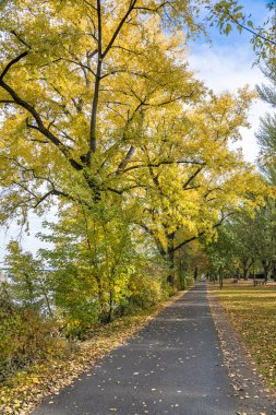 Frankfurt, Almanya 'daki Doğal Osthafen Parkı