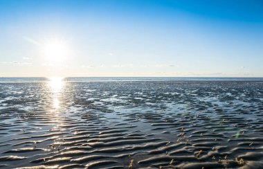 Ebb Kuzey Denizi 'nde, Almanya' da Peter Tarikatı 'nda.