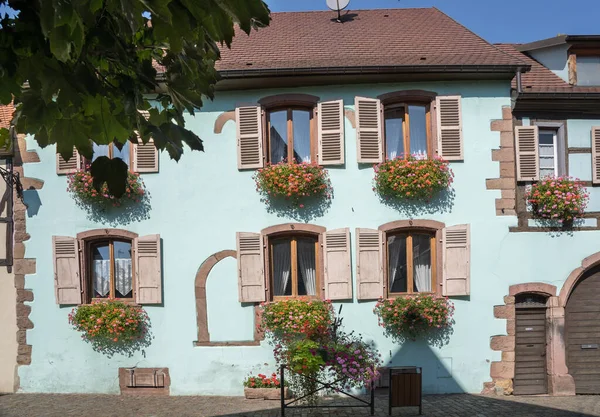Coloridas Casas Entramado Madera Bergheim Alsacia Francia — Foto de Stock
