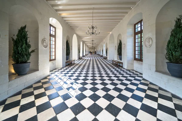 Grande Galleria Nel Famoso Castello Medievale Chateau Chenonceau Francia — Foto Stock