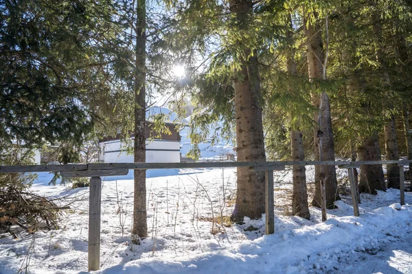 Tacksamma Snöberg Landskap Solig Dag — Stockfoto