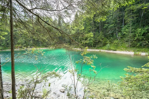 Озеро Эйбзее Летом Бавария Германия — стоковое фото