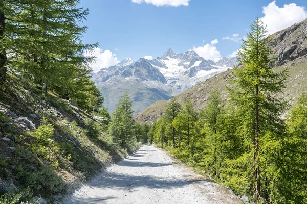 Swiss Alpine Landscape Zermatt — Zdjęcie stockowe