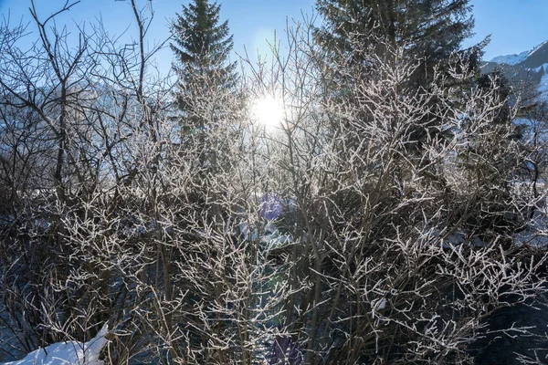 Gyönyörű Hóhegyek Táj Napsütéses Napon — Stock Fotó