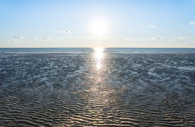 Ebb Kuzey Denizi 'nde, Almanya' da Peter Tarikatı 'nda.