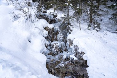 Orman nehrinin buzlu nehir kıyısında