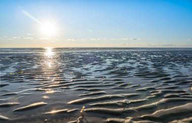 Ebb Kuzey Denizi 'nde, Almanya' da Peter Tarikatı 'nda.