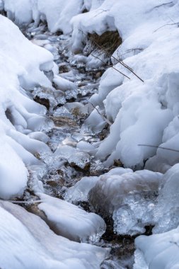 Orman nehrinin buzlu nehir kıyısında