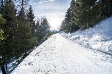 Güneşli bir günde güzel kar dağları manzarası