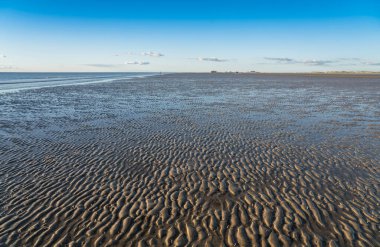 Ebb Kuzey Denizi 'nde, Almanya' da Peter Tarikatı 'nda.
