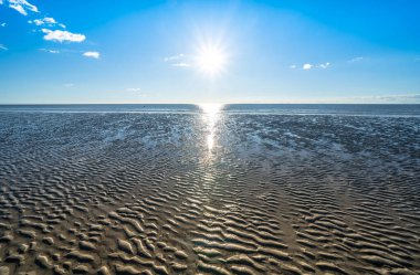 Ebb Kuzey Denizi 'nde, Almanya' da Peter Tarikatı 'nda.