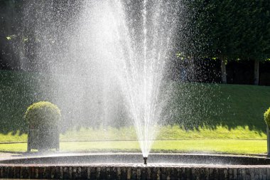 Fransa 'nın ünlü ortaçağ şatosu Villandry' nin bahçesi.