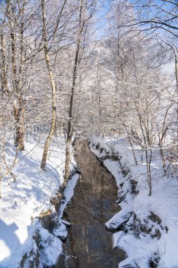 Güneşli bir günde güzel kar dağları manzarası