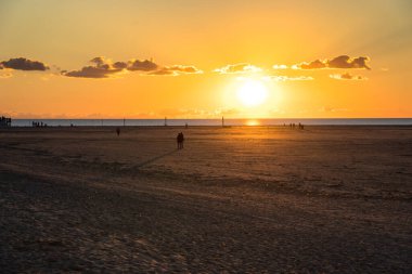 Almanya 'nın Bataklık-Peter-Tarikatı' nda Kuzey Denizi 'nde gün batımından sonra