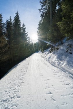 Güneşli bir günde güzel kar dağları manzarası