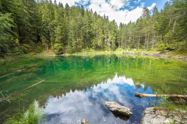 Yazın Eibsee Gölü, Bavyera, Almanya