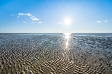 Ebb Kuzey Denizi 'nde, Almanya' da Peter Tarikatı 'nda.