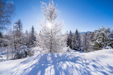 Seefeld, Avusturya 'da güzel kış manzarası