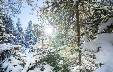 Seefeld, Avusturya 'da güzel kış manzarası