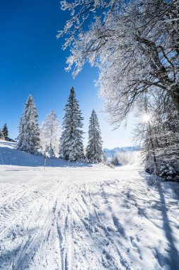 Seefeld, Avusturya 'da güzel kış manzarası