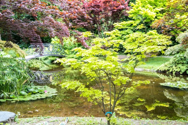 Bellagio 'daki Villa Melzi Bahçeleri, Como Gölü, İtalya