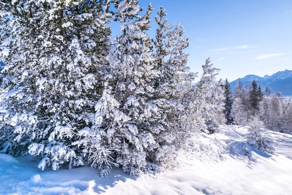 stock image Beautiful winter landscape in Seefeld, Austria