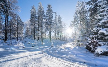 Seefeld, Avusturya 'da güzel kış manzarası