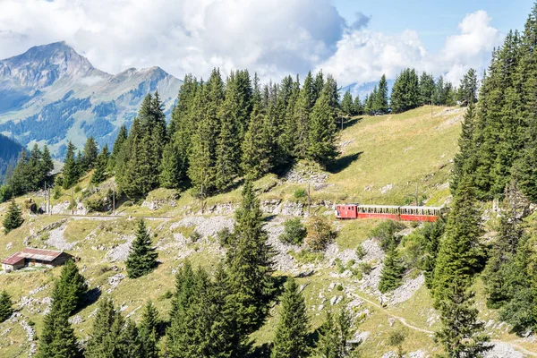 Famoso Treno Schynige Platte Bahn Interlaken Alpi Svizzere — Foto Stock